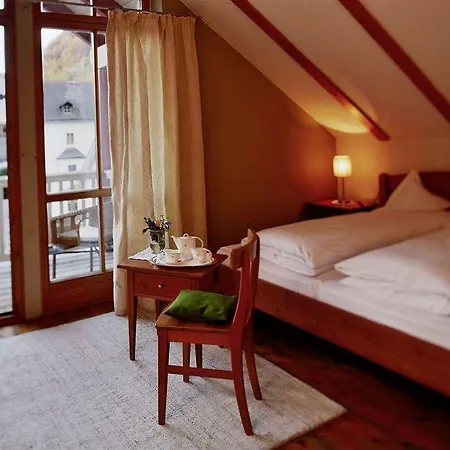 Goldene Rose Karthaus Hotel 4*